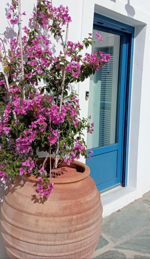 The Veranda Of Gavrion-Exclusive, Centrally Located With Seaview Dış mekan fotoğraf